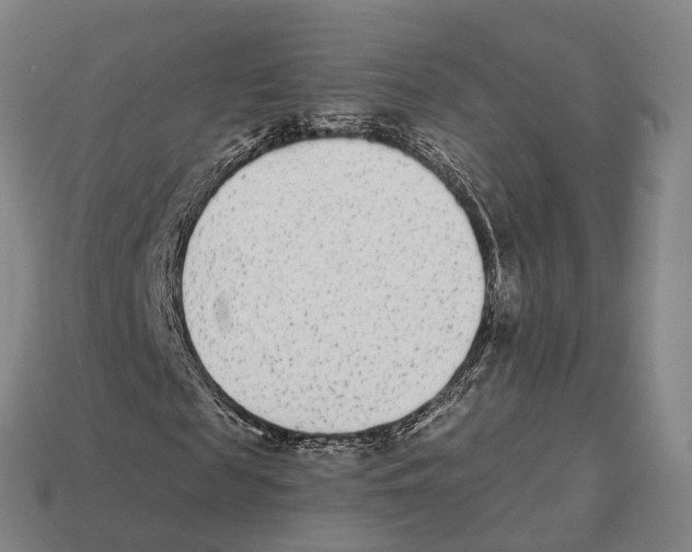 X0000113100817200909251029