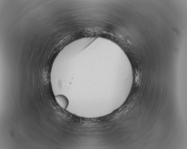 X0000113100819200909251029