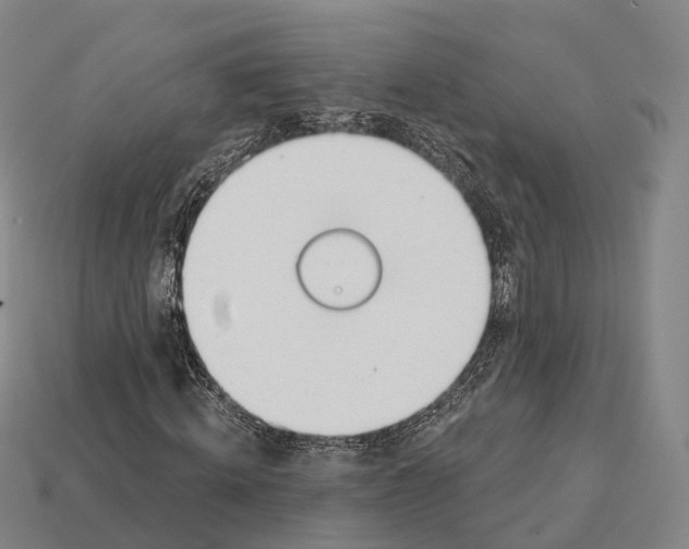 X0000113100820200909251029
