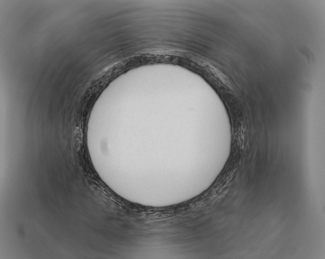 X0000113100821200909251029