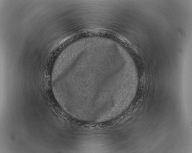 X0000113100822200909251029