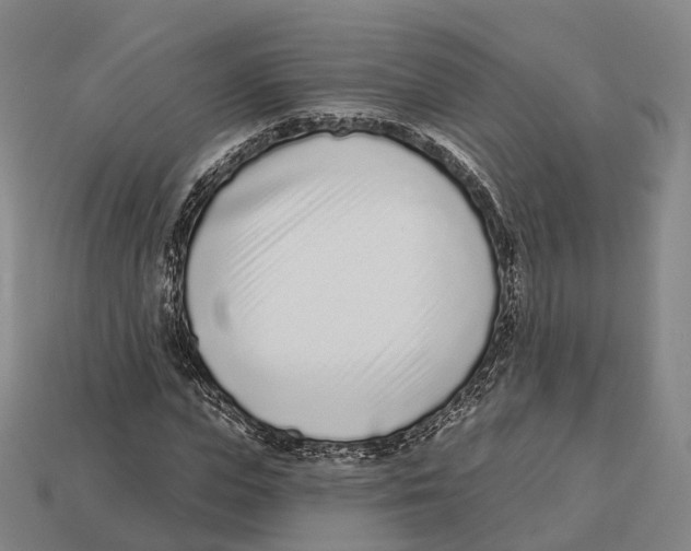 X0000113100823200909251029