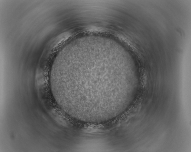 X0000113100824200909251029