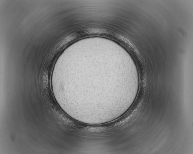 X0000113100825200909251029