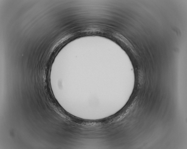 X0000113100826200909251029