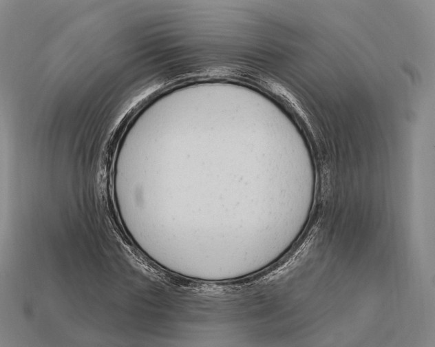 X0000113100827200909251029