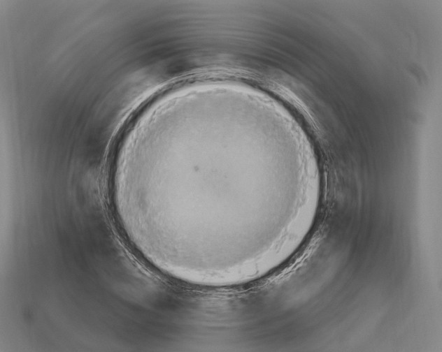 X0000113100828200909251029