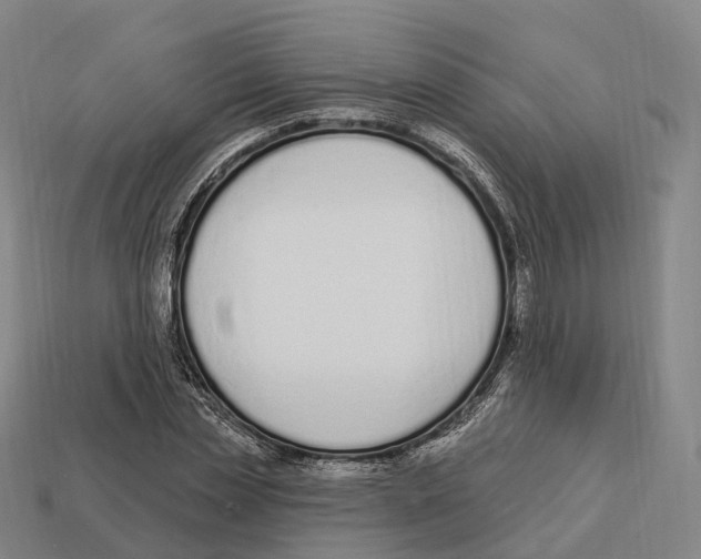 X0000113100829200909251029