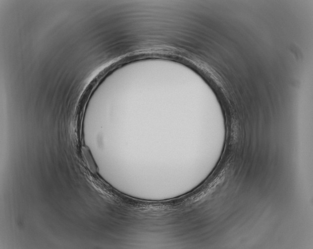 X0000113100830200909251029