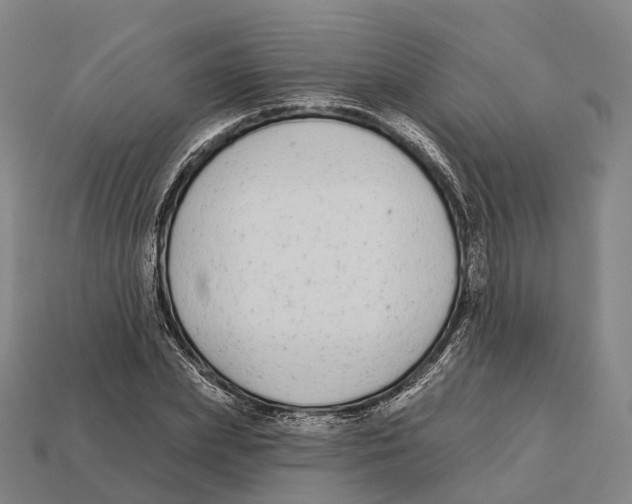 X0000113100831200909251030