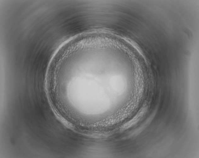 X0000113100832200909251030
