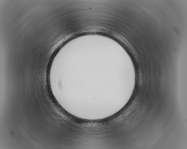 X0000113100834200909251030