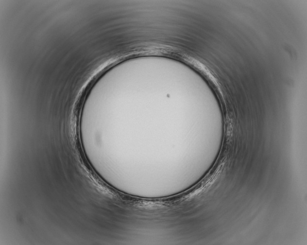 X0000113100835200909251030