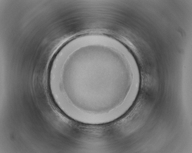 X0000113100836200909251030
