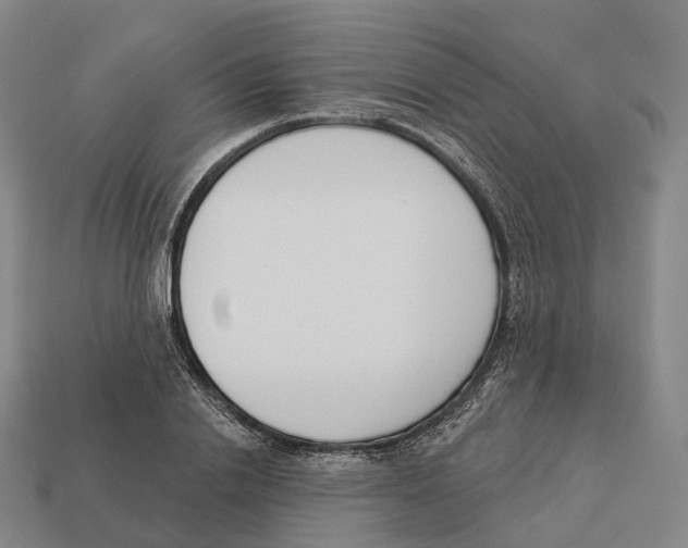 X0000113100838200909251030