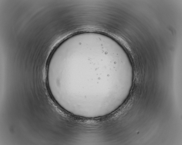 X0000113100839200909251030