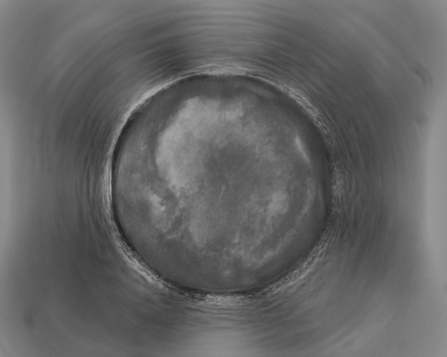X0000113100840200909251030