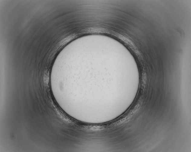 X0000113100841200909251030