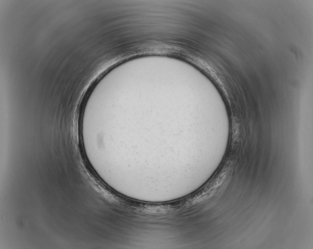X0000113100843200909251030