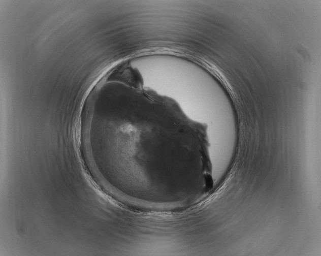 X0000113100844200909251030