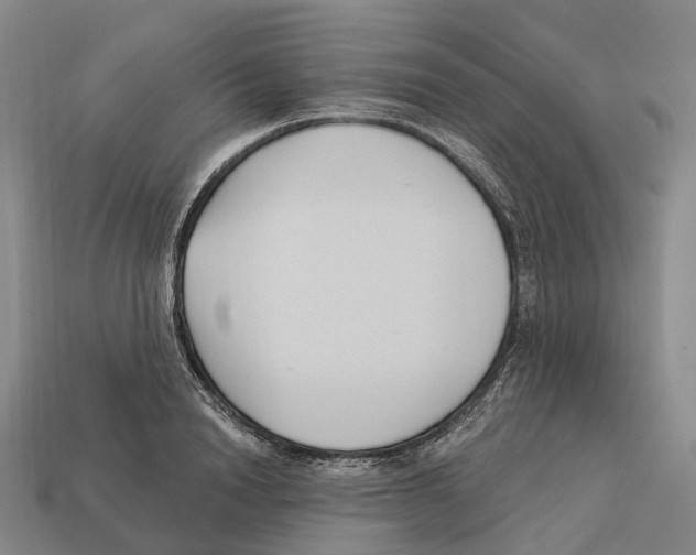 X0000113100846200909251030