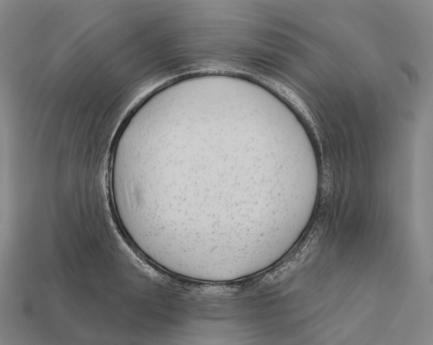 X0000113100847200909251030