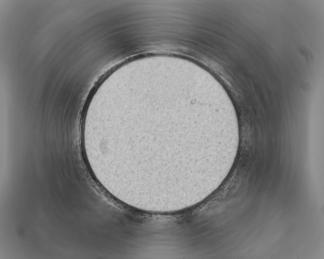 X0000113100848200909251030
