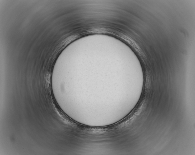X0000113100849200909251030