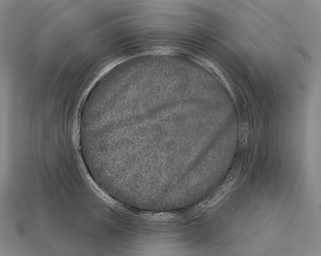 X0000113100851200909251030