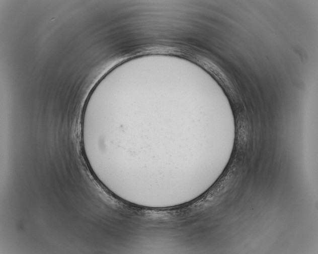 X0000113100852200909251030