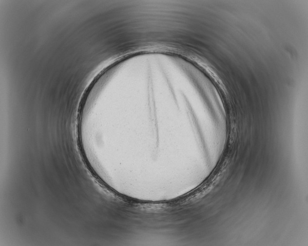 X0000113100853200909251030