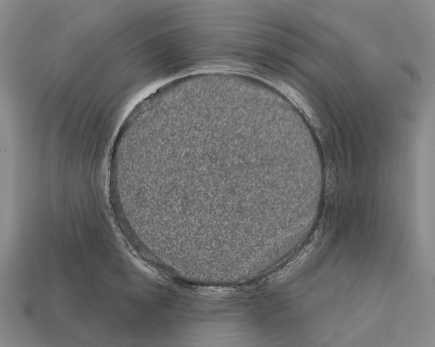 X0000113100854200909251030