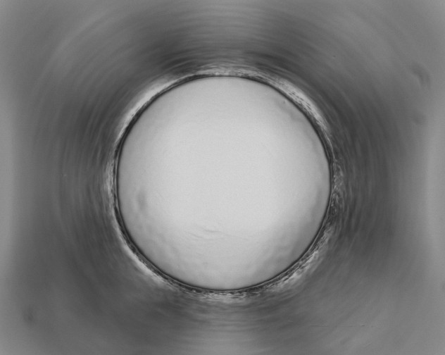 X0000113100855200909251030