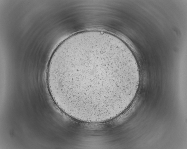 X0000113100856200909251030