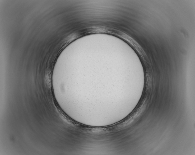 X0000113100857200909251030