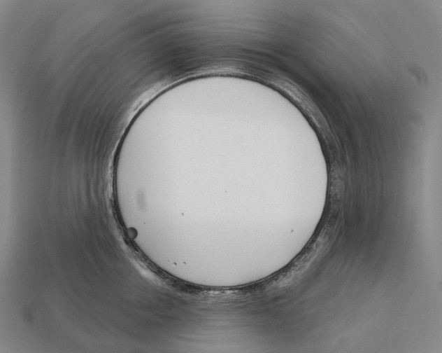 X0000113100858200909251030