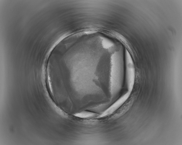 X0000113100859200909251030