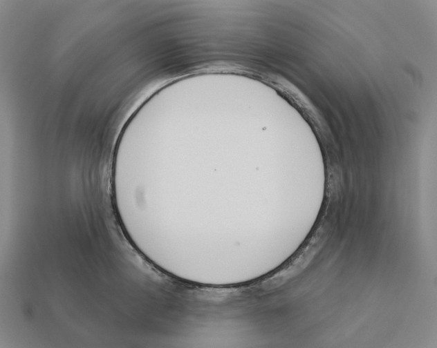 X0000113100860200909251030