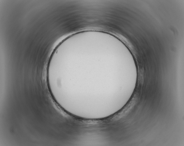 X0000113100862200909251030