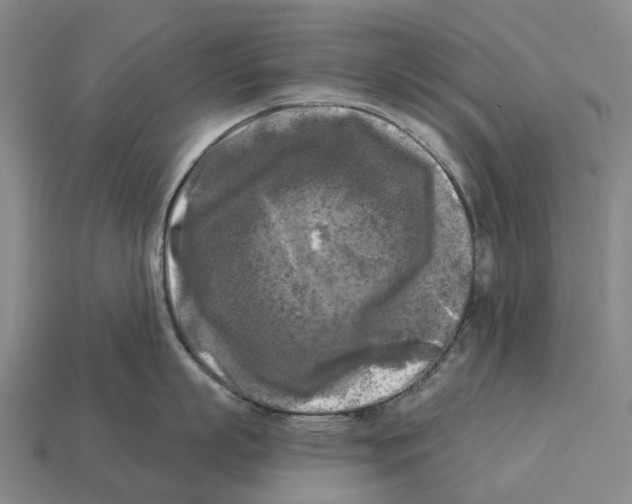 X0000113100863200909251030