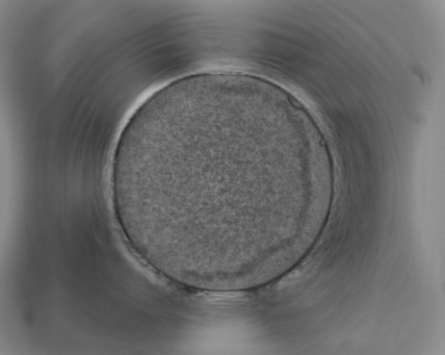 X0000113100864200909251030