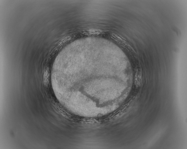 X0000113100866200909251029
