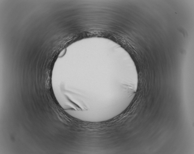 X0000113100868200909251029