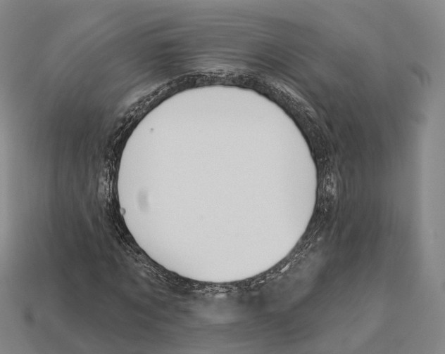 X0000113100869200909251029