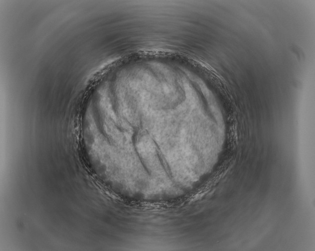 X0000113100870200909251029