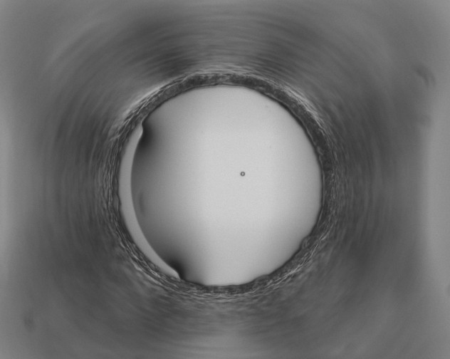 X0000113100872200909251029