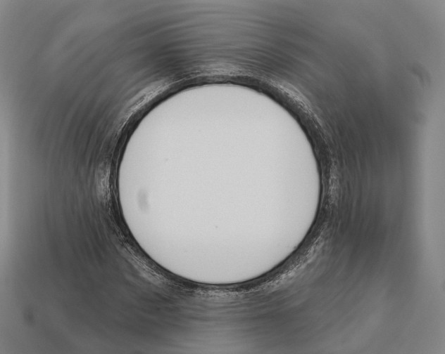 X0000113100873200909251029