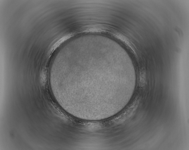 X0000113100874200909251029