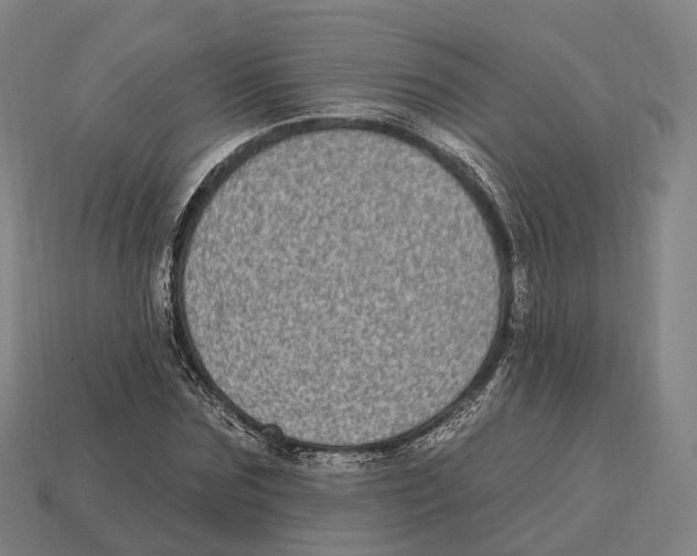 X0000113100875200909251029