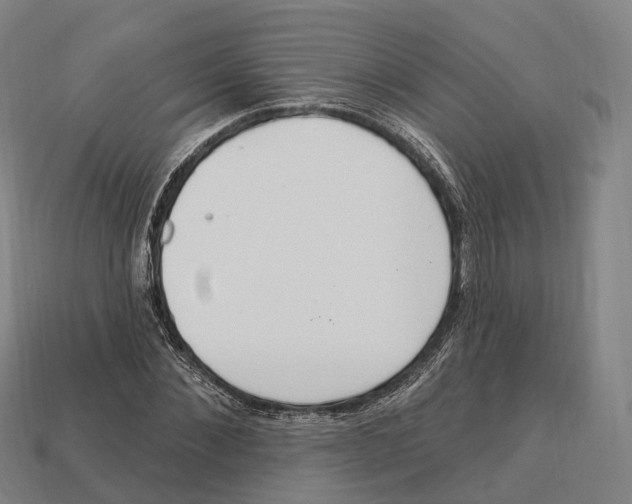 X0000113100876200909251029